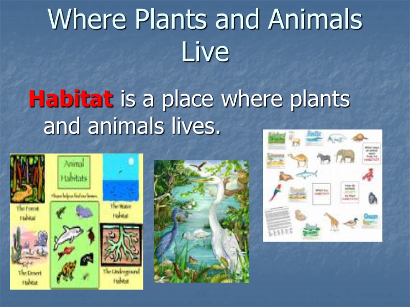 Where Plants and Animals Live  Habitat is a place where plants and animals